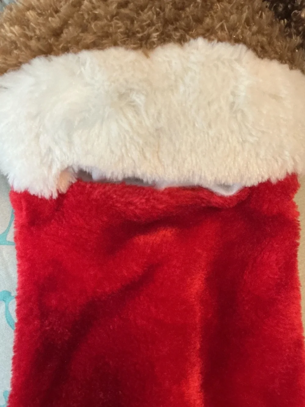 Greatest puppy dog Christmas stocking ever!